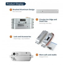 Electric Drop Bolt Lock 12VDC